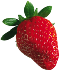 Large PNG Strawberry Clipart