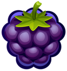 Large Painted Blueberry PNG Clipart