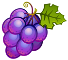 Large Painted Grapes PNG Clipart