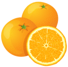 Large Painted Orange PNG Clipart
