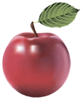 Large Red Painted Apple PNG Clipart