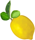 Lemon Transparent Image