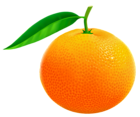 Orange PNG Vector Clipart Image