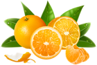 Oranges PNG Clipart Image
