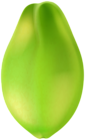Papaya PNG Transparent Clipart