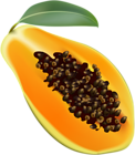 Papaya Transparent Clip Art Image