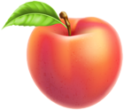 Peach Fruit PNG Clipart