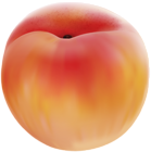 Peach PNG Clip Art Image