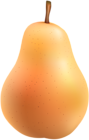 Pear PNG Clip Art Image