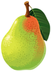 Pear PNG Vector Clipart Image