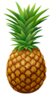 Pineapple PNG Vector Clipart Image