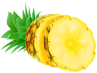 Pineapple PNG Clip Art