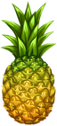 Pineapple PNG Clip Art Image