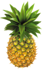 Pineapple PNG Clipart Picture