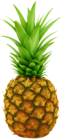 Pineapple Transparent Clip Art Image