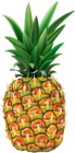 Pineapple Transparent PNG Clip Art Image