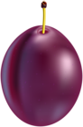 Plum Fruit PNG Clip Art
