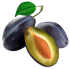 Plums PNG Clipart Picture