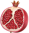 Pomegranate PNG Clip Art Image