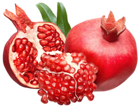 Pomegranate PNG Clipart Picture