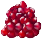 Pomegranate Seeds PNG Transparent Clipart