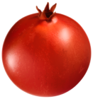 Pomegranate Transparent PNG Clip Art Image