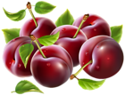 Prunes PNG Clipart Image