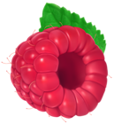 Raspberry. PNG Clip Art Image