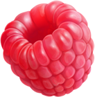 Raspberry Clip Art PNG Image