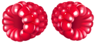 Raspberry Fruit PNG Clipart