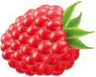Raspberry PNG Clip Art Image
