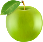 Realistic Green Apple PNG Clipart