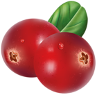 Red Cranberries Transparent PNG Clip Art Image