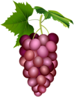 Red Grape PNG Clip Art Image