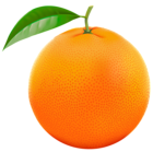 Red Orange PNG Vector Clipart Image