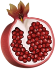 Red Pomegranate PNG Clip Art Image