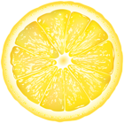 Round Lemon Slice PNG Clip Art Image