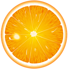 Round Orange Slice PNG Clip Art
