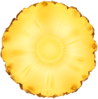 Round Pineapple Slice PNG Clipart