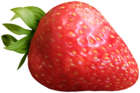 Strawberry Clip Art Image