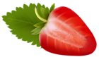 Strawberry Free PNG Clip Art Image