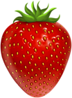 Strawberry Fruit PNG Clipart