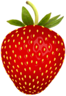 Strawberry PNG Free Clip Art Image