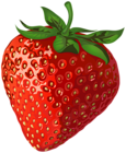 Strawberry PNG Transparent Clipart