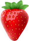 Strawberry Transparent PNG Clip Art Image