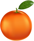 Tangerine PNG Clip Art