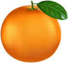 Tangerine PNG Transparent Clipart