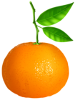 Tangerine Transparent PNG Clip Art Image
