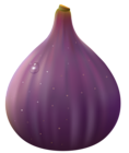 Transparent Fig PNG Clipart Picture