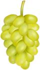 White Grape PNG Clip Art